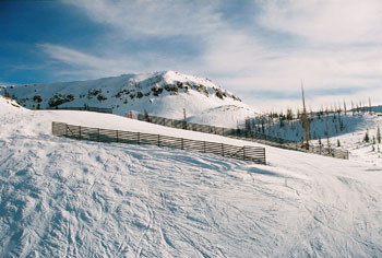 Wind Fencing